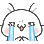 아들 생일 참사💥