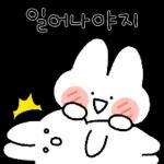 볼빵빵토끼 볼토