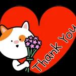 오늘도 내일도 귀여운 뽀다