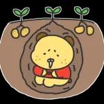 알감자곰의 일상