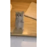 🫣잠들었어?	(살짝 뽀뽀한다)