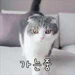 고양이는 안 바빠🐾	 그런데 잘 살잖아