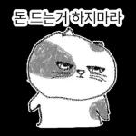 점냥아 오늘만 참자