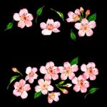 ☕️☀️모닝 커피 한잔 콜~?