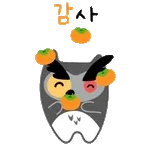 어디서 밥 먹을가~?