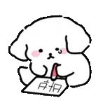 추모🕯️	중국인 살리고 떠난 해경