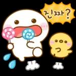 깨방정 댕댕이 18