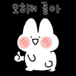 볼빵빵토끼 볼토