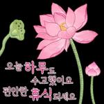 사랑해긍정말