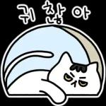 찌코는 안친해!