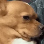 늦게까지 뭐 해?	답장 좀😤