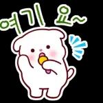 비만 댕댕이의 라이프스타일