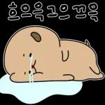 동구리의 우당탕탕 일상