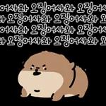 오동통통 서달이 등장! 7 