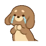 좋은 아침입니다~!!!!