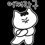 찌코는 안친해!