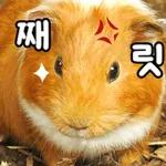 짜릿