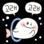 다정함은 고래도 춤추게 한다! 