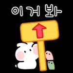 토끼의 일상 생활