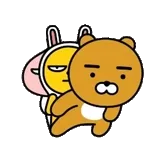 현실표로 딱 보여드림💸