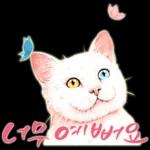 늘, 함께해요.. 반려묘의 사랑메세지