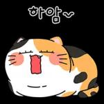 동그리, 가보자고~