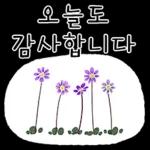 싫어요 뜨