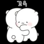 힐링곰은 오늘도 따숩찌 3