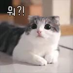 아프지 말고
건강하기