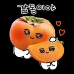 청과물 그리고 눈빛