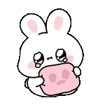 추모🕯️	중국인 살리고 떠난 해경