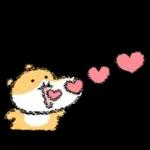 햄수탑니다! 6