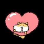 햄수탑니다! 6