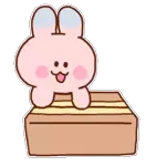 나 말티즈 김두부, 예쁘게 말한다!