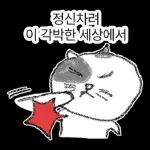 점냥아 오늘만 참자