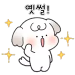 나 말티즈 김두부, 예쁘게 말한다!