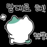 낙천가고양이 민트냥