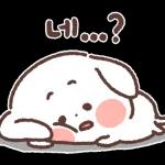 아기 강아지 '뭉이' 하트 하트