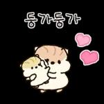 콩닥콩닥 사랑둥이 햄뚜둥이