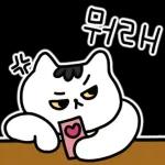 찌코는 안친해!