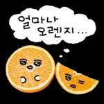 청과물 그리고 눈빛