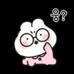 사랑둥이 애기토끼 앙토!