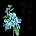 행복해져라:)