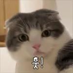 응원해요
5
