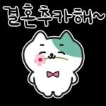 낙천가고양이 민트냥