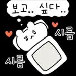 놀아줘 이것들아!