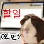 기여븐 기니햄짤.zip