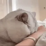 해 볼까해 볼까해 볼까?