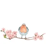 좋은 아침	잘 잤나요? 