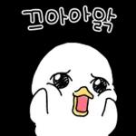 심쿵